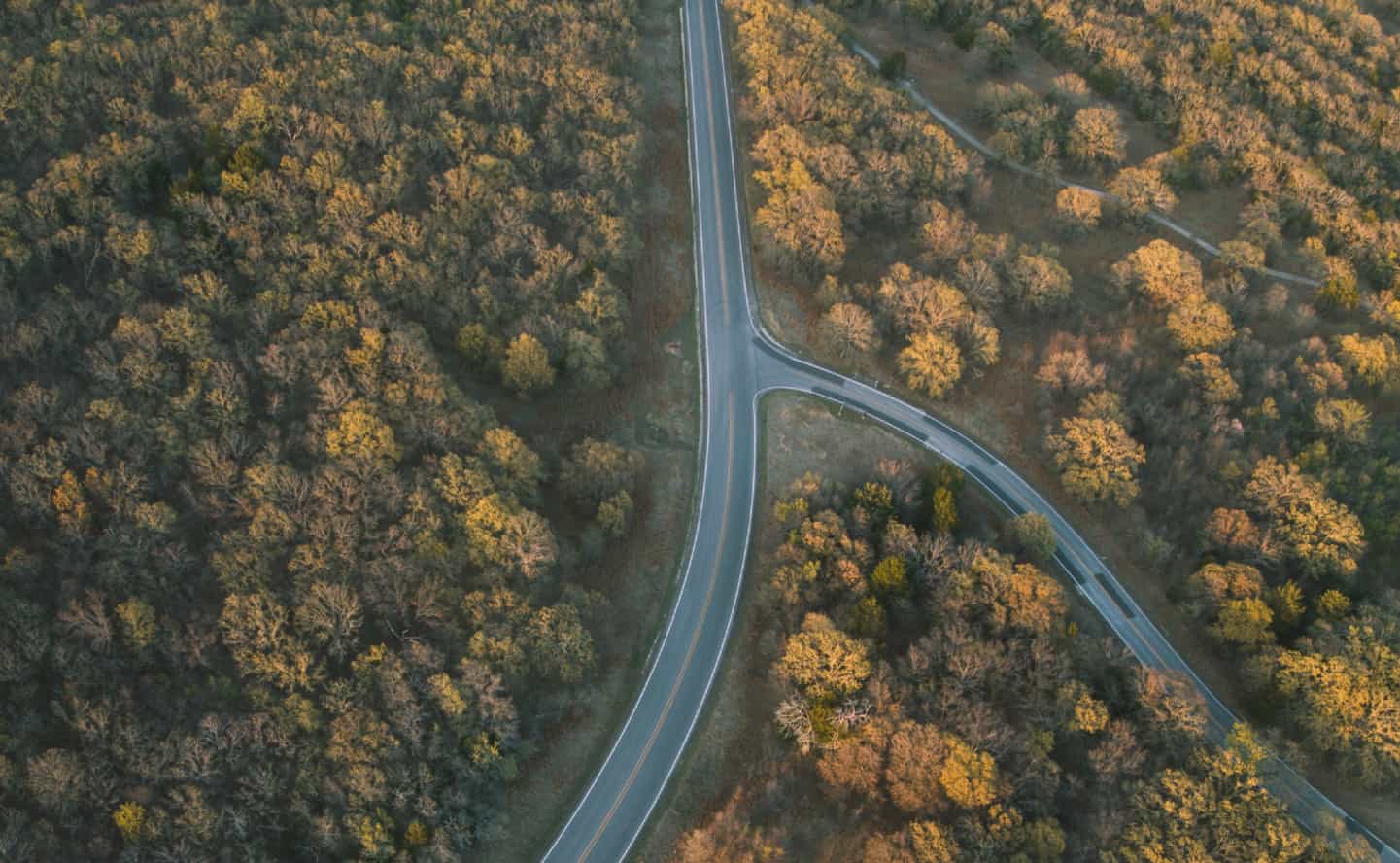 Nuevas lineas de negocio